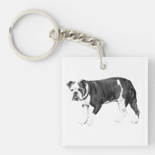 Llavero Encanto de Bulldog, Fuerza Cotidiana