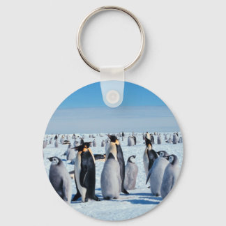 Llavero Encuentro de Pingüinos