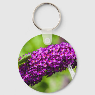 Llavero energía katydid