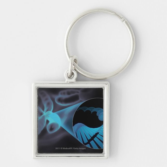 Llavero Enfoque adentro de un filamento de la DNA en un (Frente)