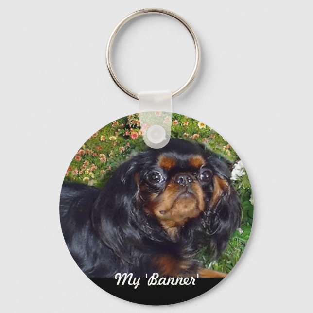 Llavero English Toy Spaniel (Anverso)