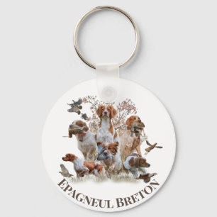 Llavero Epagneul Breton, Bretaña Spaniel