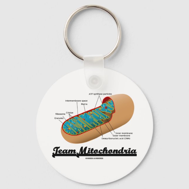 Llavero Equipo Mitochondria (Humor Mitochondrion) (Anverso)