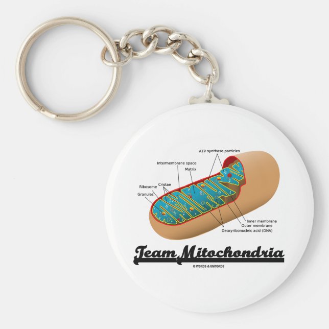Llavero Equipo Mitochondria (Humor Mitochondrion) (Frente)