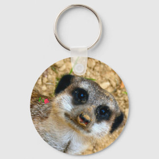 Llavero Erdmännchen adherente