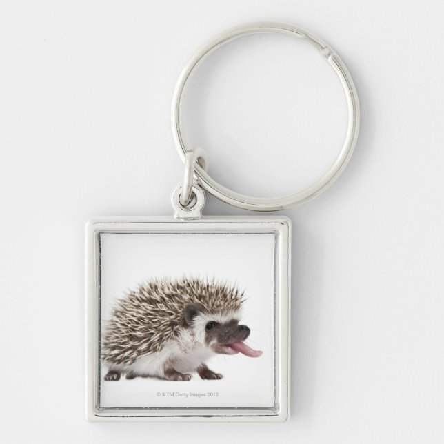 Llavero erizo Cuatro-tocado con la punta del pie - (Frente)