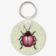 Escarabajo rosa Código QR Entomología de arte de i