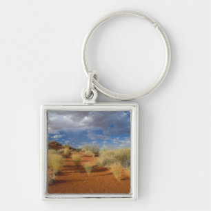 Llavero Escena del desierto de Kalahari, frontera de Kgala