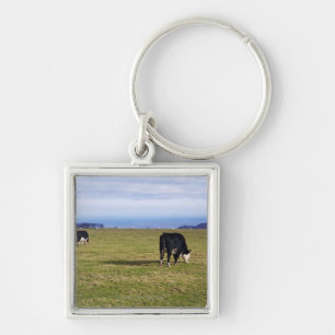 Llavero Escena pastoral de vacas en la desatención del