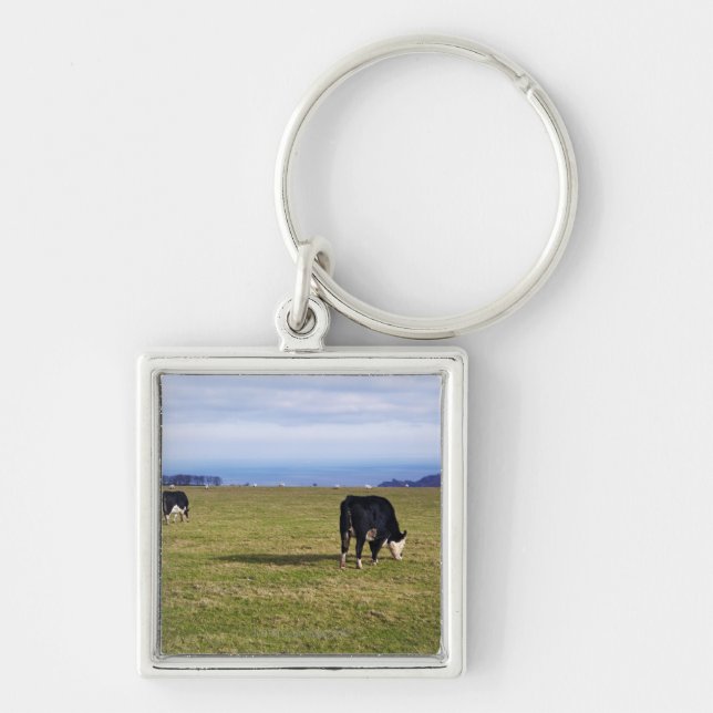 Llavero Escena pastoral de vacas en la desatención del (Frente)