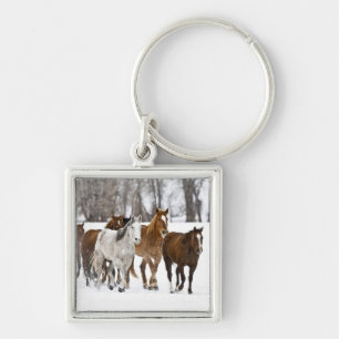 Llavero Escenario invernal de correr