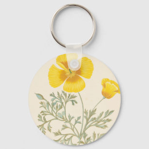 Llavero Escherbectzia californiana