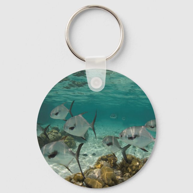 Llavero Escuela de peces permitidos (Anverso)