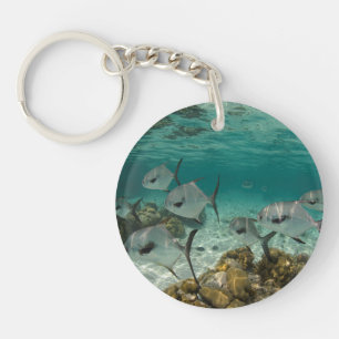 Llavero Escuela de peces permitidos
