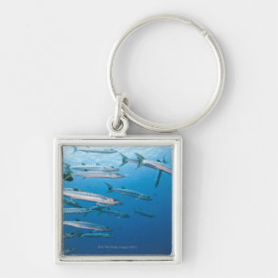 Llavero Escuela del barracuda del blackfin (qenie del