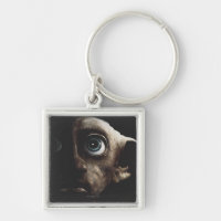Espadas mortales - Dobby