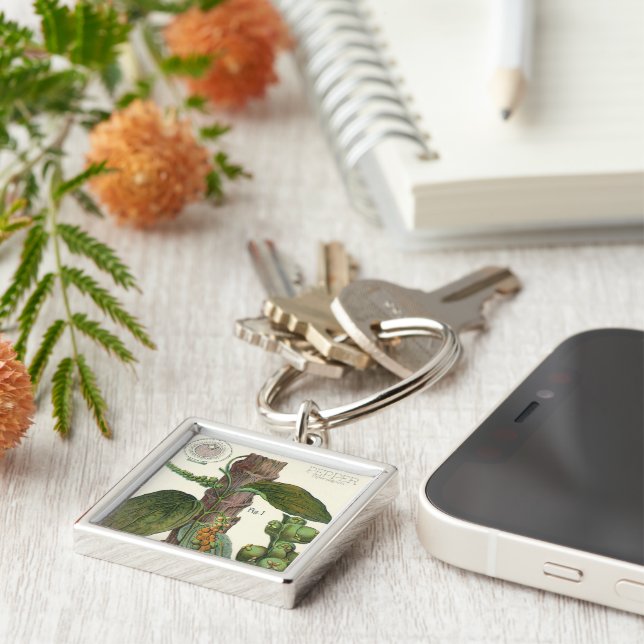 Llavero Especias de hierbas aromáticas, planta de pimienta (Lado)