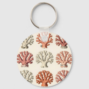 Llavero Especímenes de coral vintage botánico marino