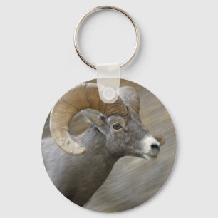 Llavero Espolón del Bighorn del desierto