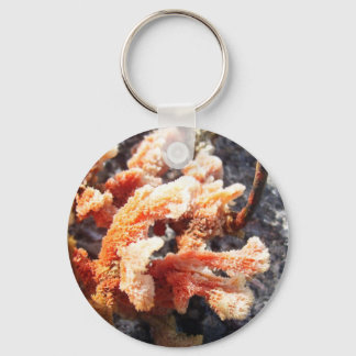 Llavero Esponge del mar naranja