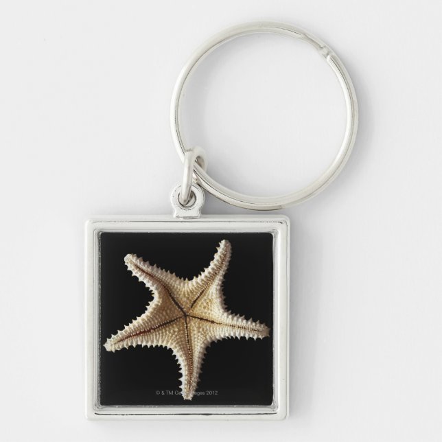 Llavero Esqueleto de las estrellas de mar, primer 2 (Frente)