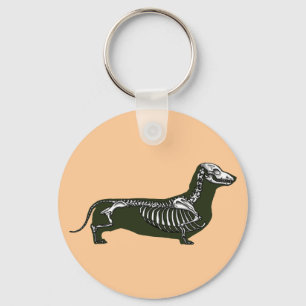 Llavero esqueleto del dachshund