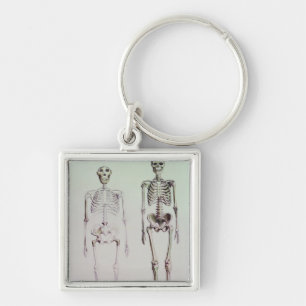 Llavero Esqueletos del australopiteco Boisei