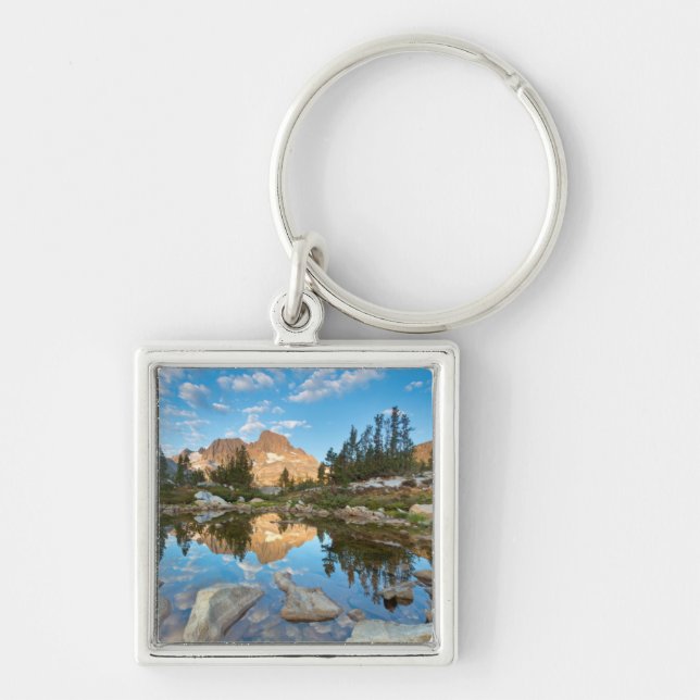 Llavero Estados Unidos, California, Bosque Nacional Inyo.2 (Frente)