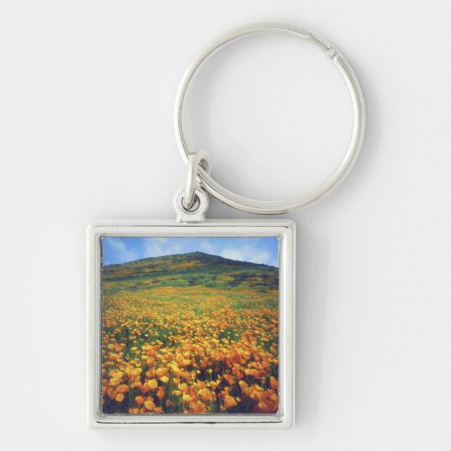 Llavero Estados Unidos, California, Lago Elsinore.Californ (Frente)