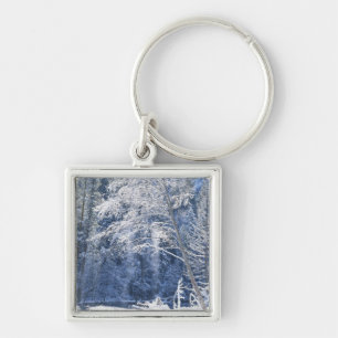 Llavero Estados Unidos, California, Parque Nacional Yosemi