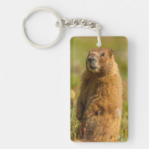 Llavero Estados Unidos, Colorado, Montañas San Juan