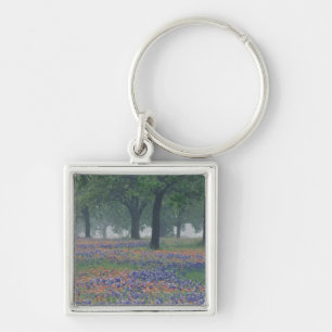 Llavero Estados Unidos, Texas, Texas Hill Country Expansiv