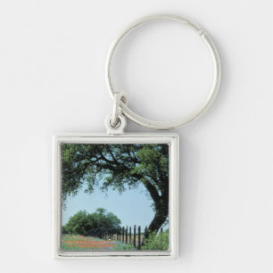 Llavero Estados Unidos, Texas, Texas Hill Country Paintcel