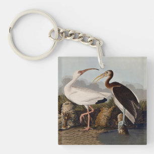 Llavero Estampa Clásica de Pájaro Ibis Blanco de John Jame