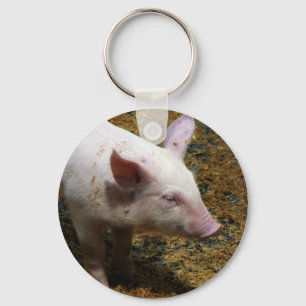 Llavero Este pequeño cerdito - Foto de un bebé lechón