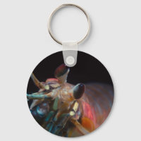 Estomatopodo (Mantis Shrimp)