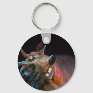 Llavero Estomatopodo (Mantis Shrimp)
