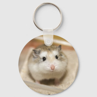 Llavero Estrella de bebé hamster