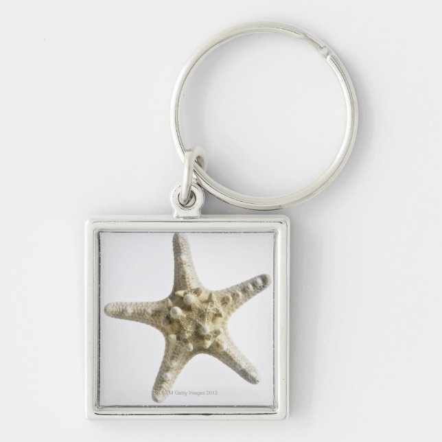 Llavero Estrellas de mar (Frente)