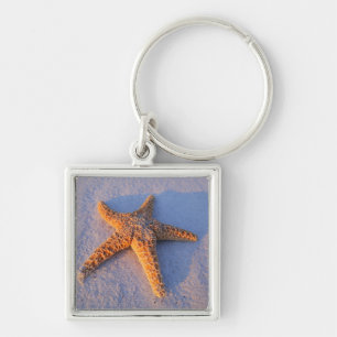 Llavero Estrellas de mar en la arena blanca