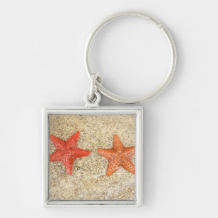 Llavero estrellas de mar en la playa, en el borde del