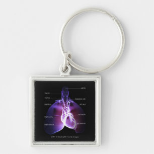 Llavero Estructura del corazón y de los pulmones