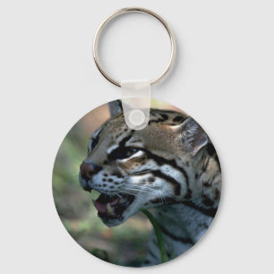 Llavero Estudio de la cabeza del Ocelot