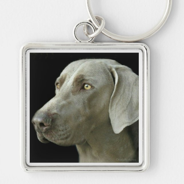 Llavero - estudio principal Weimaraner (Frente)