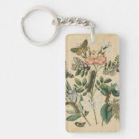 Etapas de la vida de la mariposa por Vision Studio