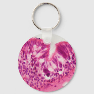 Llavero Etelio cilínico bajo el microscopio.