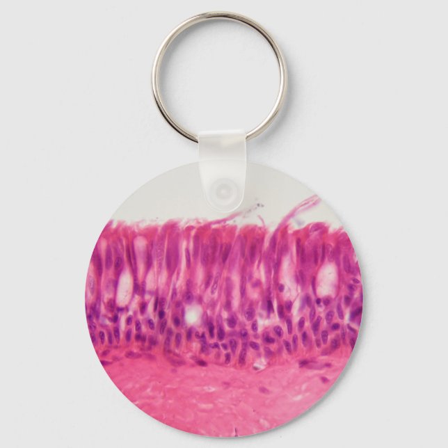 Llavero Etelio cilínico bajo el microscopio. (Anverso)