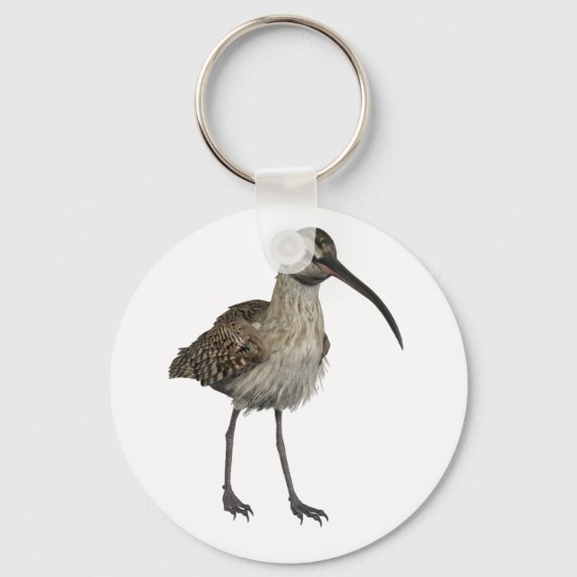 Llavero Eurasian Curlew (Anverso)