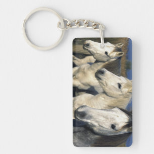 Llavero Europa, Francia, Ile del la Camargue. Camargue 3