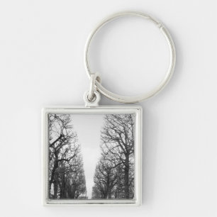 Llavero Europa, Francia, París. Árboles de invierno, Mar